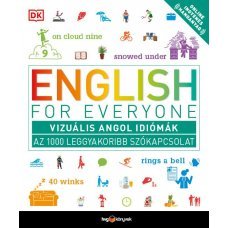 English for Everyone - Vizuális angol idiómák  25.95 + 1.95 Royal Mail